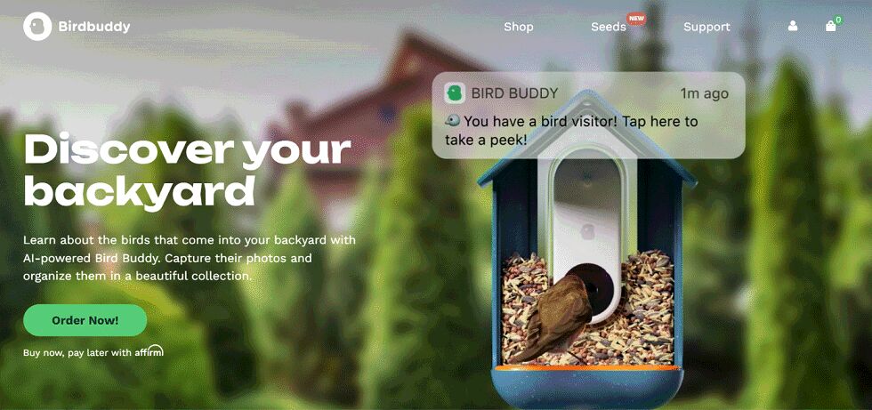 Bird Buddy rebrand: MyBirdBuddy.com to BirdBuddy.com