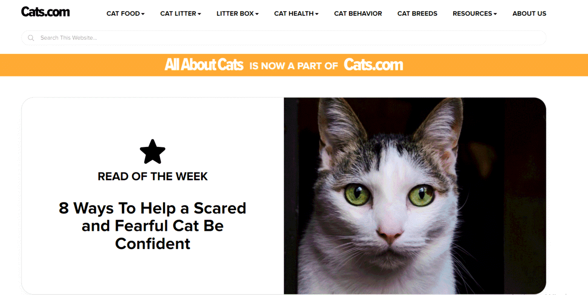 Cats.com rebrand: AllAboutCats.com to Cats.com