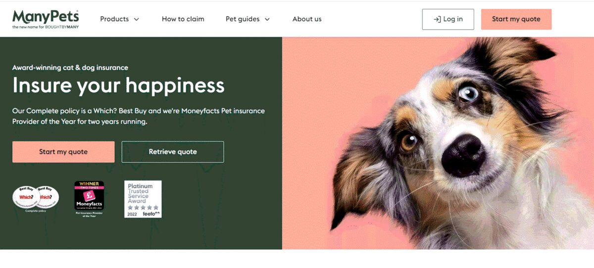ManyPets rebrand: BoughtByMany.com to ManyPets.com